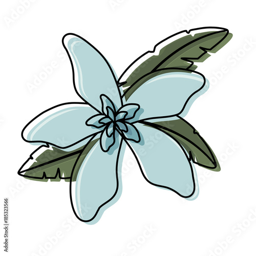 flower with petals light blue  vector illustration