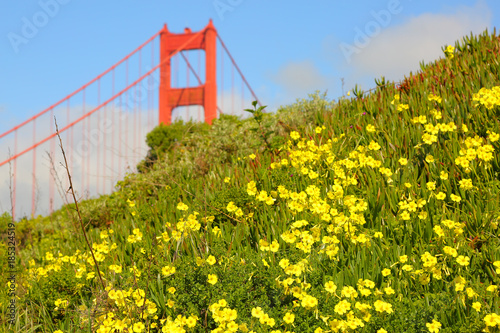 Golden Gate Bridge with yellow wildflowers
