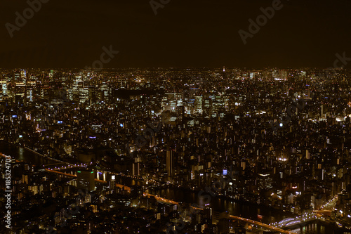 View of Tokyo at night from the Tokyo Metropolitan Government Building