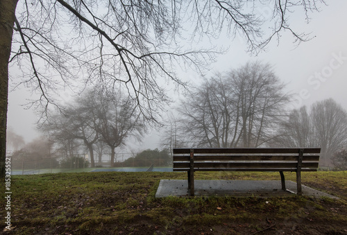 winter mist in vancouver stanley park