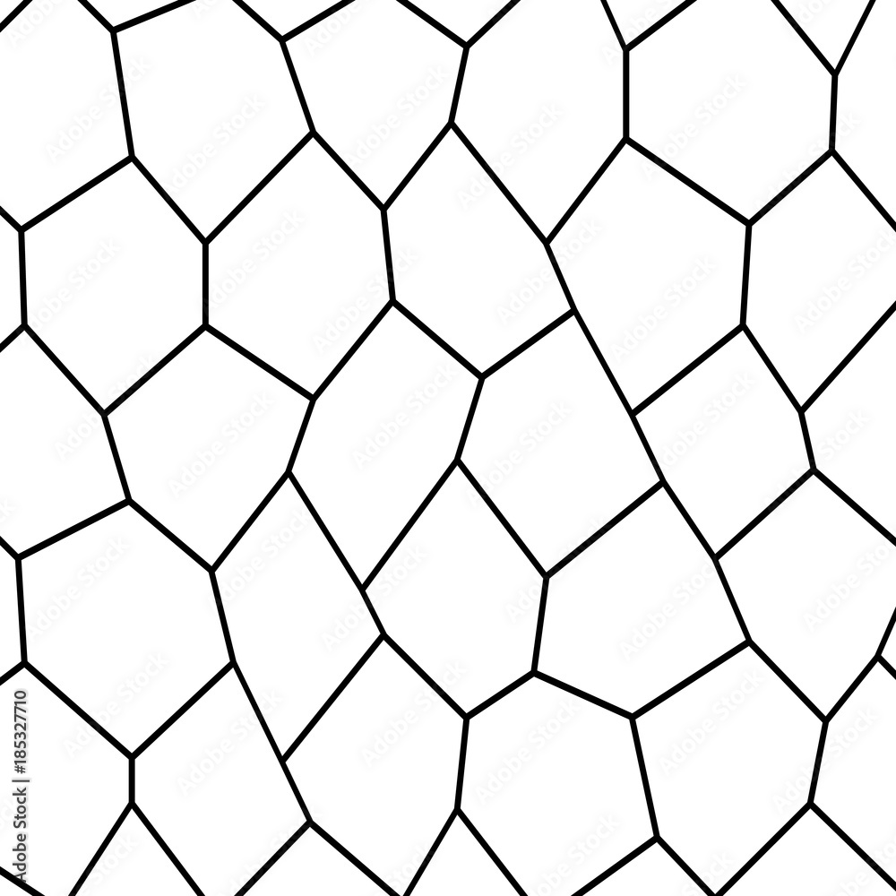 Black and White Fragmentation Background Black and White Fragmentation Background