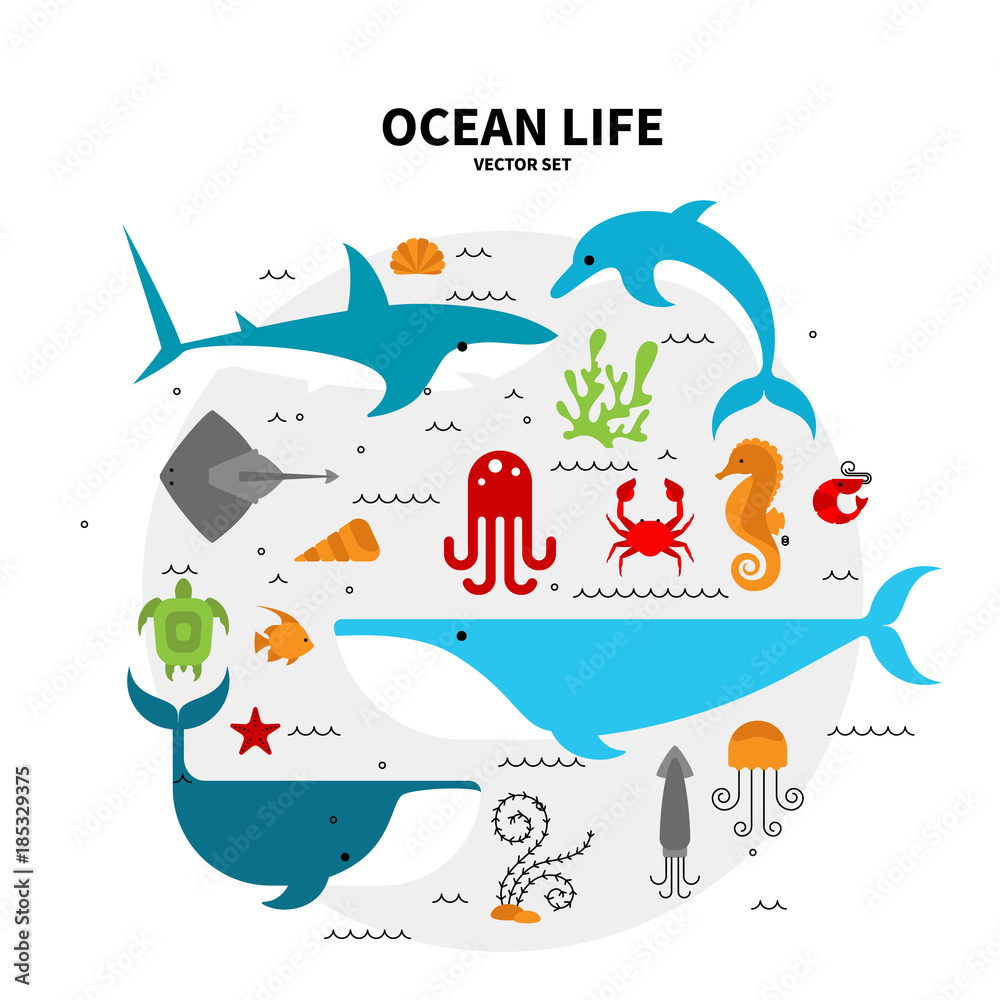 Collection of sea animals arranged in a circle. Flat style illustration  isolated on background. Oceanarium collection for children books and  posters. Stock Vector | Adobe Stock