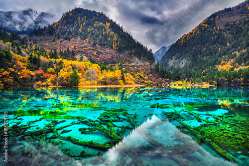 Amazing view of crystal clear water of the Five Flower Lake (Multicolored Lake) among autumn woods in  Jiuzhaigou nature (Jiuzhai Valley National Park), China. photo