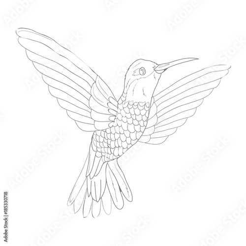 Bird vector sketch icon isolated on background. Hand drawn Bird icon. Bird sketch icon for infographic, website or app.