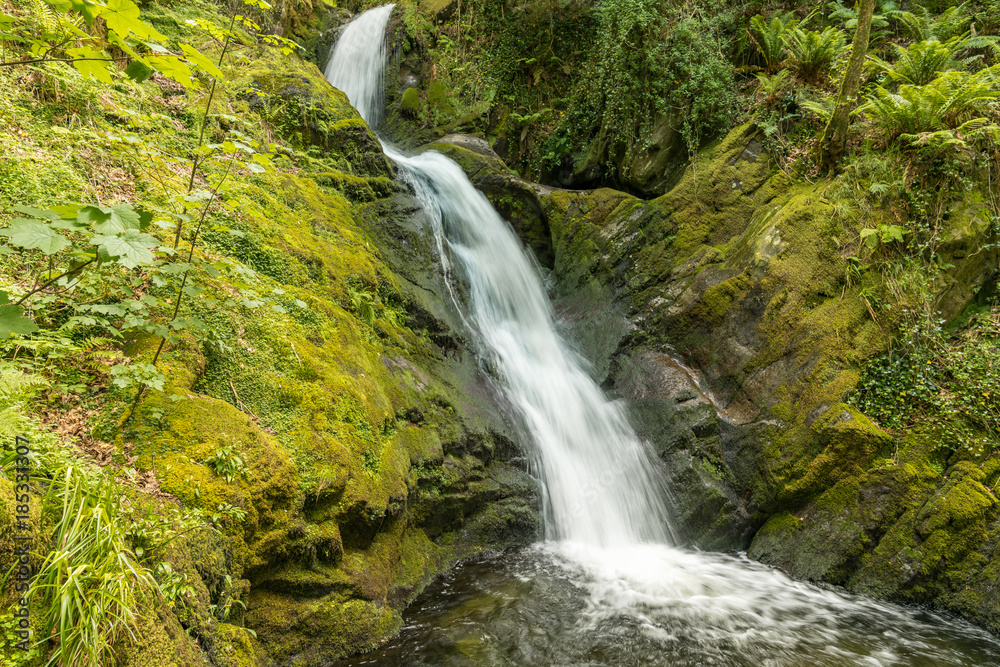 Waterfalls near Dolgoch, Gwynedd, Wales, UK Waterfalls near Dolgoch, Gwynedd, Wales, UK