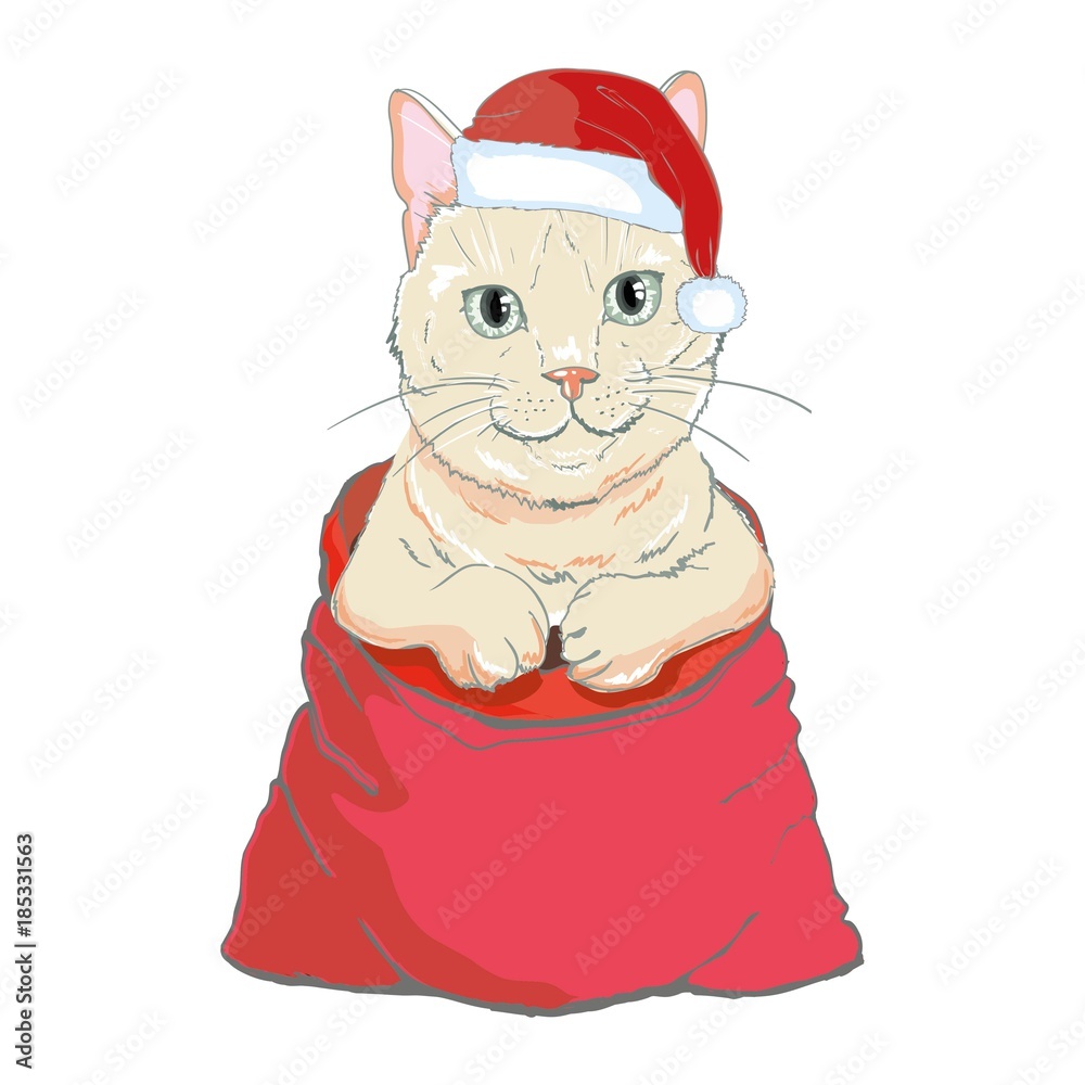 Christmas card. Cute kitten in the red Santa s cap and with striped bow. Vector illustration. Christmas card. Cute kitten in the red Santa s cap and with striped bow. Vector illustration.