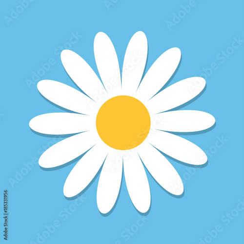 Fototapeta Naklejka Na Ścianę i Meble -  White daisy chamomile. Cute flower plant collection. Love card. Camomile icon Growing concept. Flat design. Blue background. Isolated.
