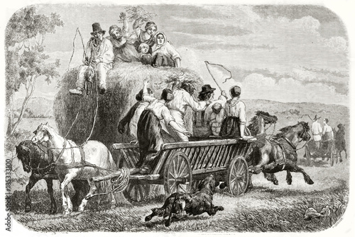Bilde på lerret Old illustration of haymaking in Funen island, Denmark