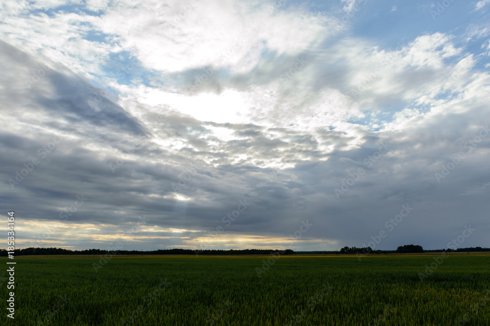 Obraz premium empty fields in countryside