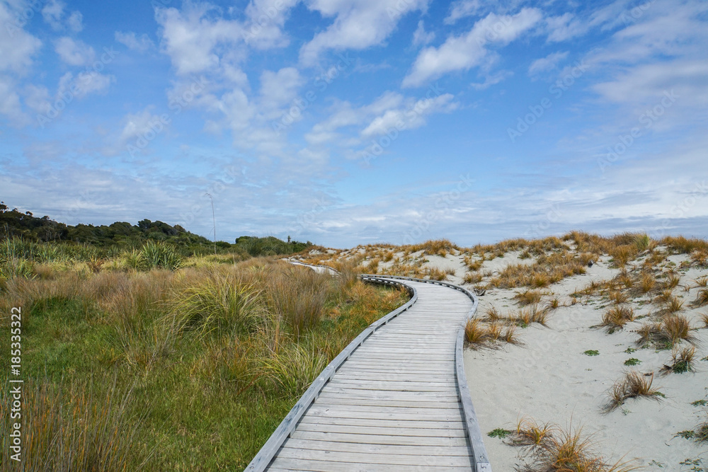 wooden walkway along the sand beach and grass
