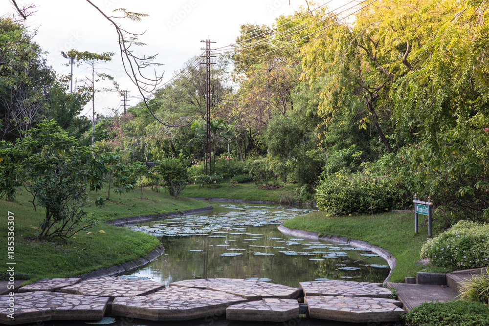 Landscaping lawn design.
