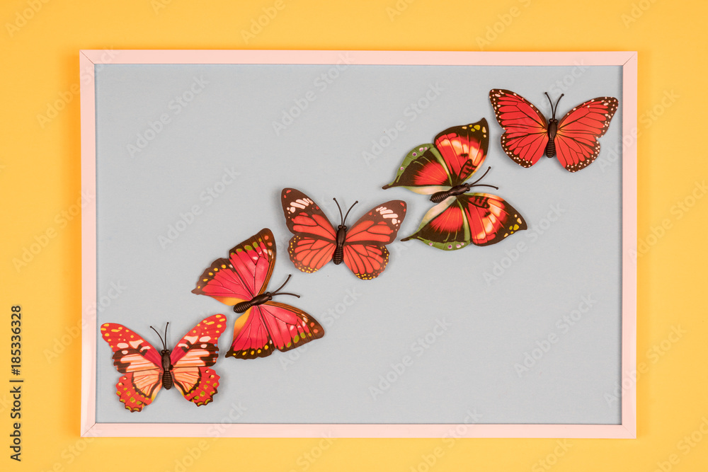 decorative butterflies in a white frame on a colored background	