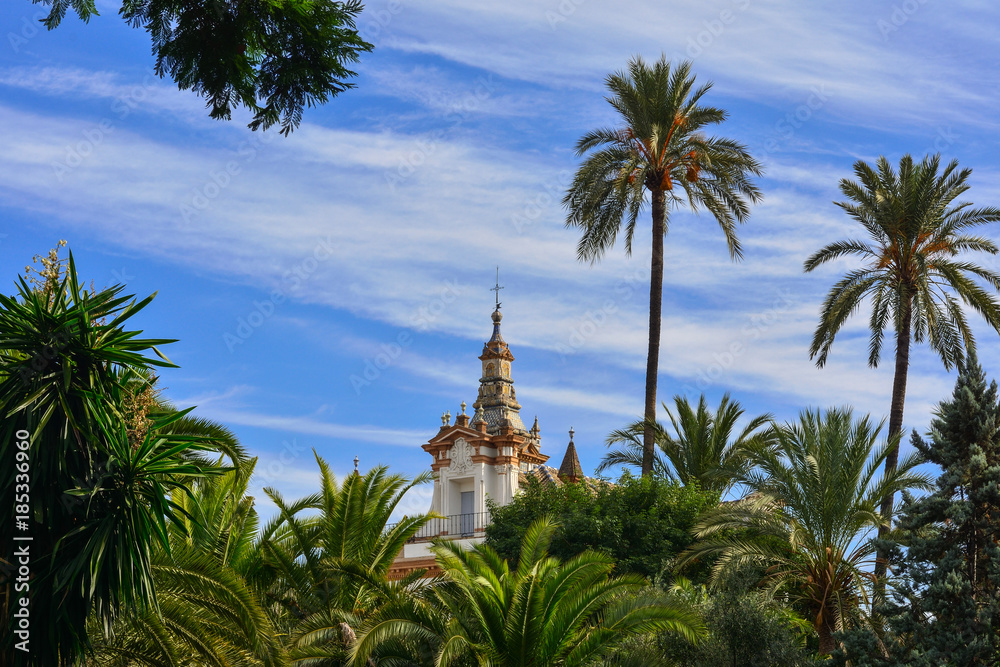 Spain Andalusia Sevilla palm tree tower