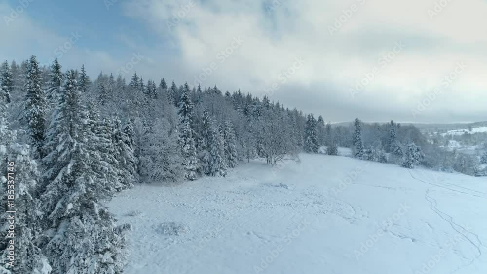 Aerial shot along the meadow among the Carpathian Mountains in winter 4K Aerial shot along the meadow among the Carpathian Mountains in winter 4K