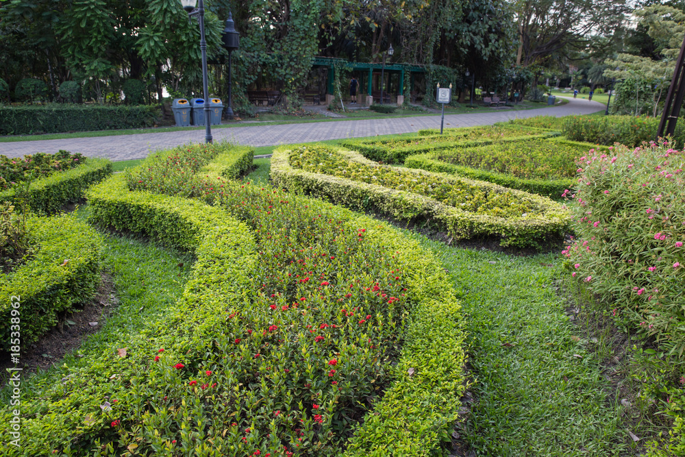 Landscaping lawn design.