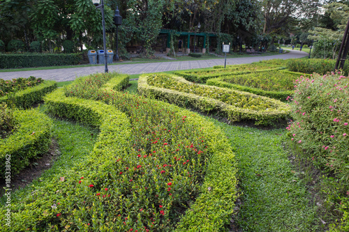 Obraz na płótnie Landscaping lawn design. w salonie