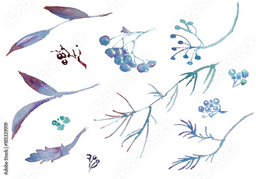 Collection of watercolor hand drawing winter rowanberry leaves