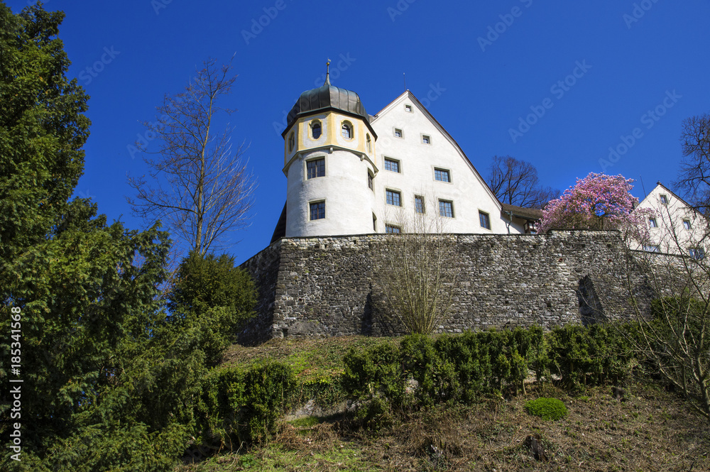 Bregenz, Austria. View of the old house and flowering spring tree