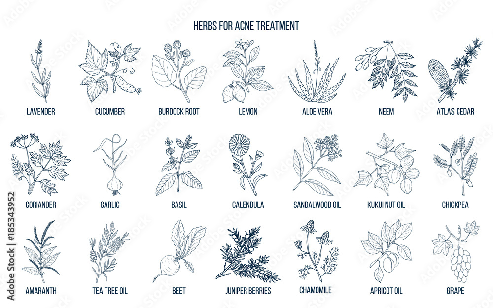 Best herbs for acne treatment