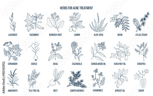 Fototapeta Best herbs for acne treatment