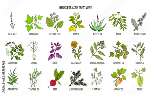 Best herbs for acne treatment