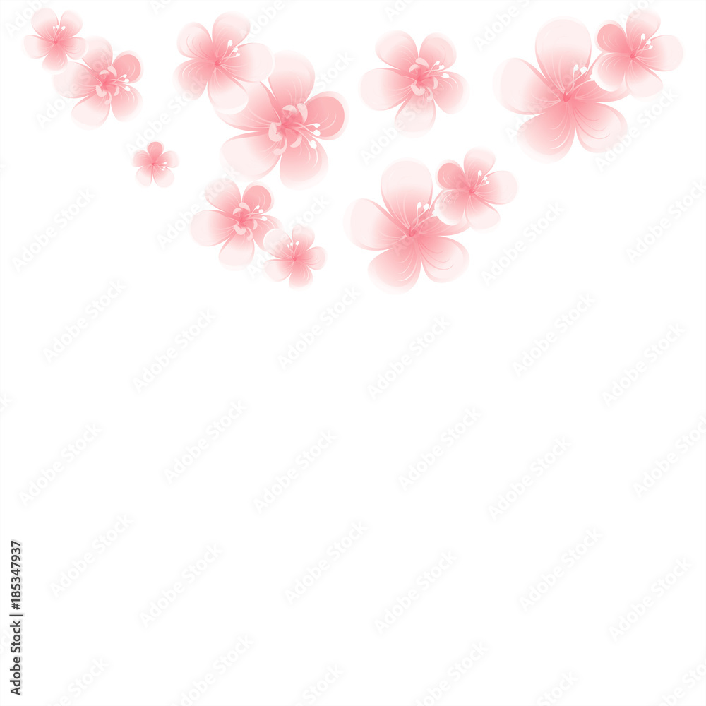 Light Pink flowers isolated on White background. Apple-tree flowers. Cherry blossom. Vector