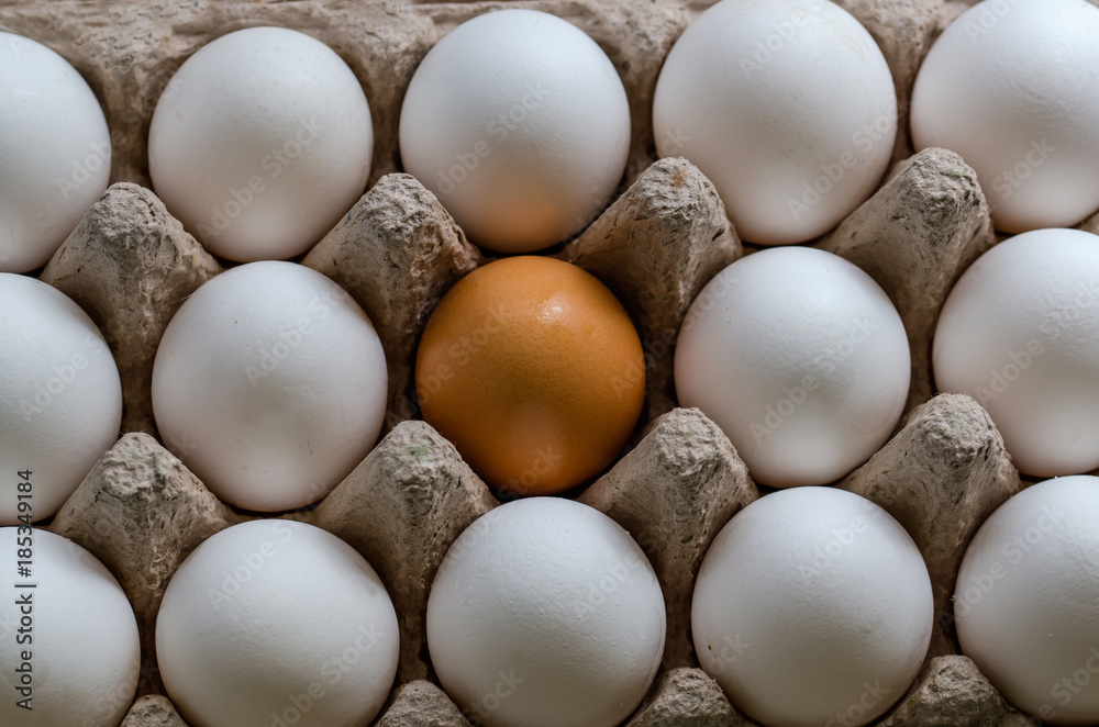 a yellow egg among the white eggs in the egg carton a yellow egg among the white eggs in the egg carton