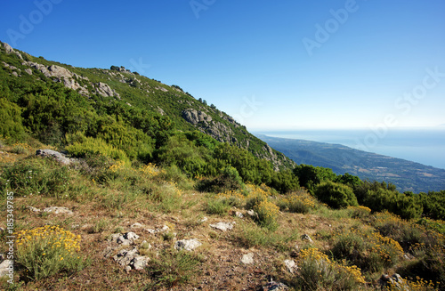 panorama of eastern coast of upper Corsica 