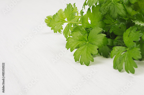 Green young celery leaves on white wood board, copy space. photo