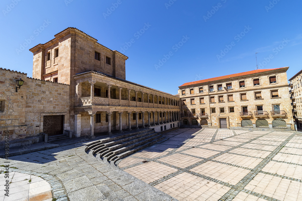 Palace of the Count of Francos in Salamanca , Community of Castile and Leon, Spain.