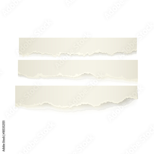 Vector set of torn paper set. Different stripe shape of blank scraps. Notebook sheets with ripped edges for your design. Realistic isolated illustration on a white background.