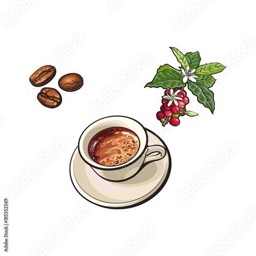 vector sketch hand drawn fried black coffee beans, coffee tree branch with berries, leaves and flowers and ceramic cup of hot coffee. Isolated illustration on a white background.