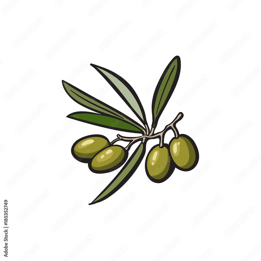 Olives On White Stock Photo - Download Image Now - Olive - Fruit