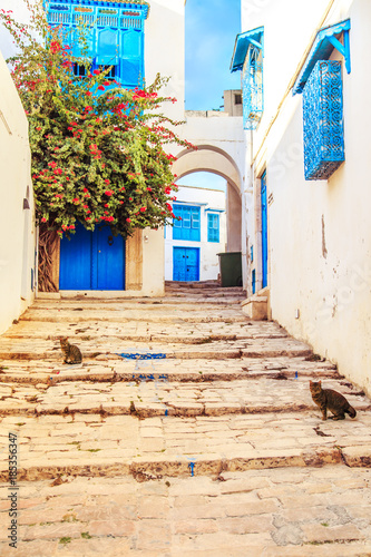 Fototapeta Naklejka Na Ścianę i Meble -  White-blue city of Sidi Bou Said, Tunisia.