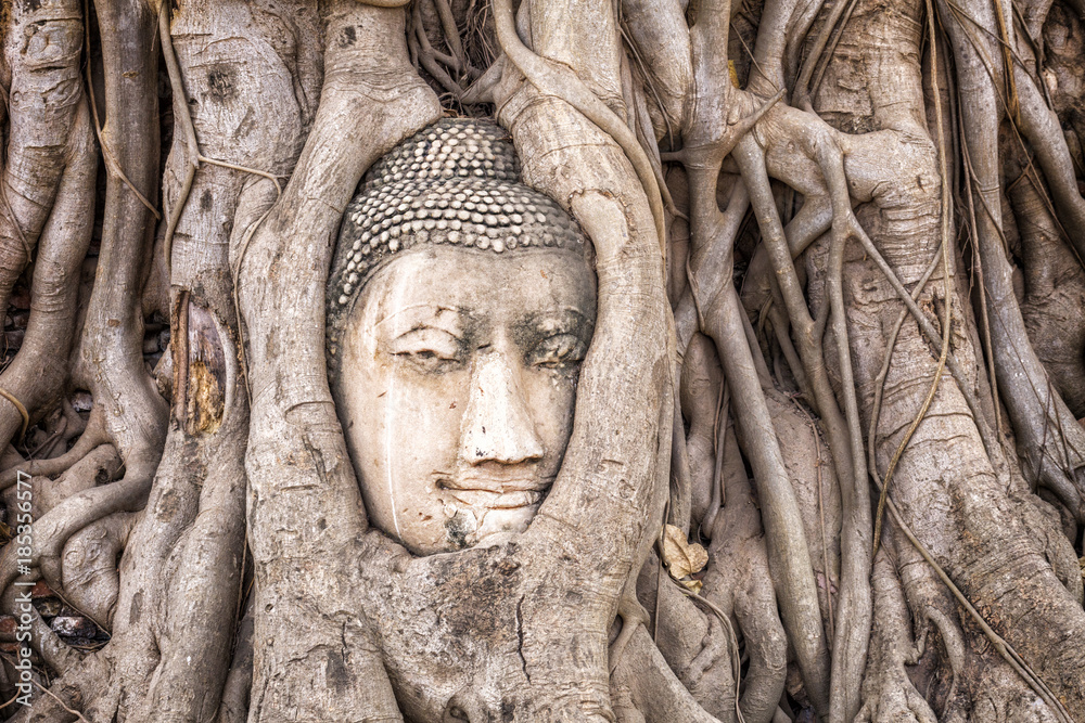 Head of Buddha statue in the tree roots at Wat Mahathat temple, Ayutthaya, Thailand. Ayutthaya historical park.