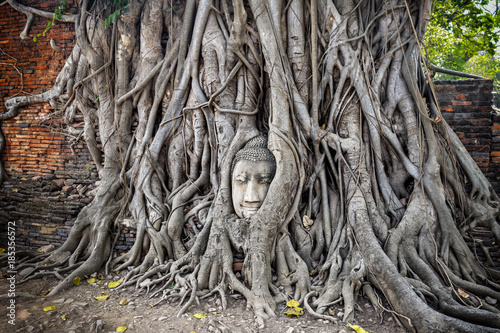 Head of Buddha statue in the tree roots at Wat Mahathat temple, Ayutthaya, Thailand. Ayutthaya historical park.