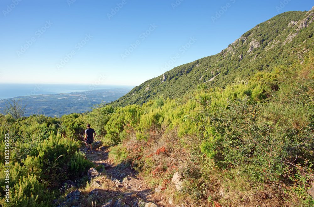 mountain runner in upper corsica coast