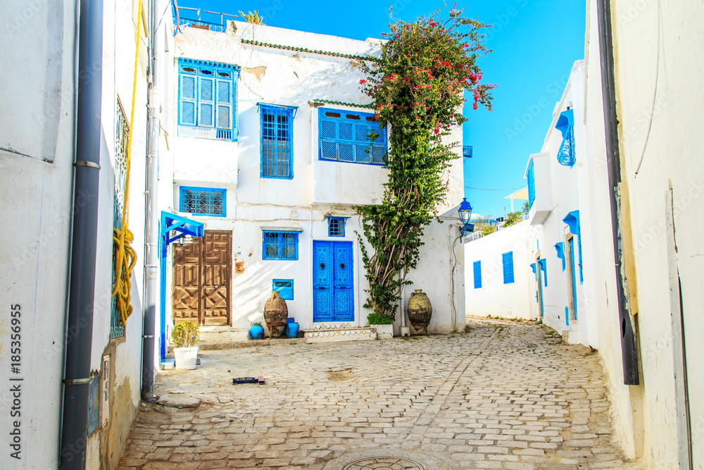 Fototapeta premium White-blue city of Sidi Bou Said, Tunisia.