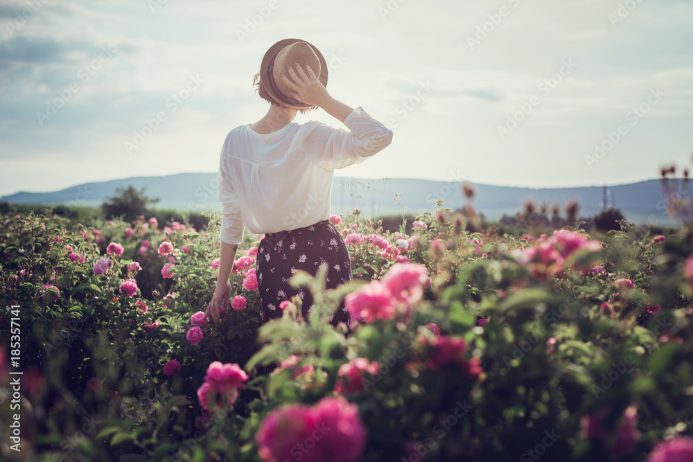 Flower series. Pink field. Crimea, the village of Turgenyevka. A country girl enjoys the sunset, wine and reading books in the fragrant rose garden. The concept of perfume Flower series. Pink field. Crimea, the village of Turgenyevka. A country girl enjoys the sunset, wine and reading books in the fragrant rose garden. The concept of perfume