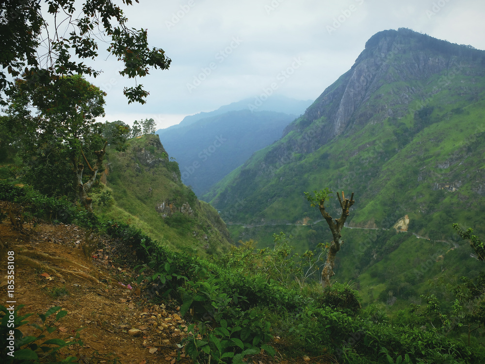 Fototapeta premium Ella - Sri lanka
