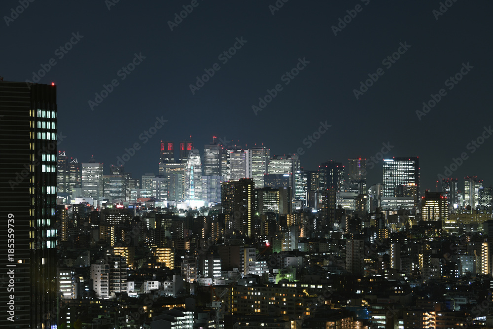 日本の東京都市景観・夜景「新宿の超高層ビル群や街並みなどを望む」