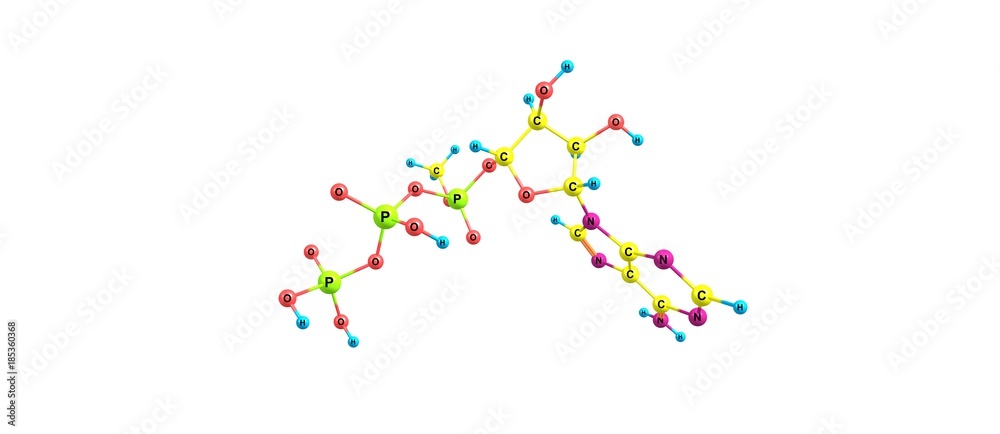 Adenosine triphosphate molecular structure isolated on white