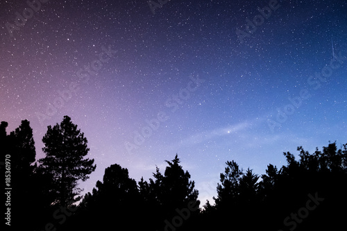 Silhouette of forest with starry sky in background