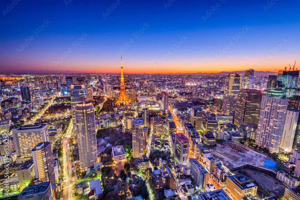 Fototapeta premium Tokyo, Japan Cityscape