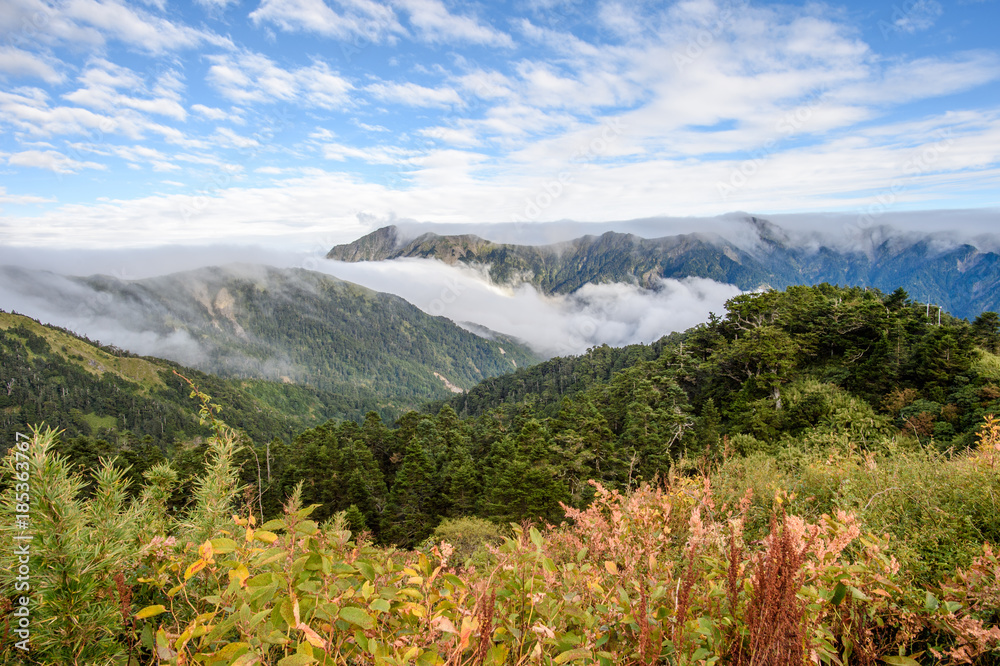 Obraz premium Beautiful blue sky and white clouds landscape in Taiwan Hehuan mountain 