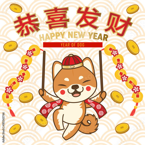 Happy Chinese New year  year of dog  Cute Shiba Dog cartoon in Chinese costume playing with gold coins  Vector flat design  on Chinese pattern graphic background  Chinese alphabet happy new year.