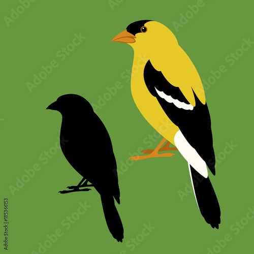 bunting bird vector illustration flat style profile view