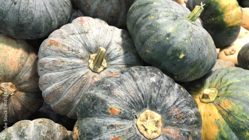 Green organic pumpkin on the farmer market. Asian market. Pumpkin vegetable. Green organic pumpkin on the farmer market. Asian market. Pumpkin vegetable.