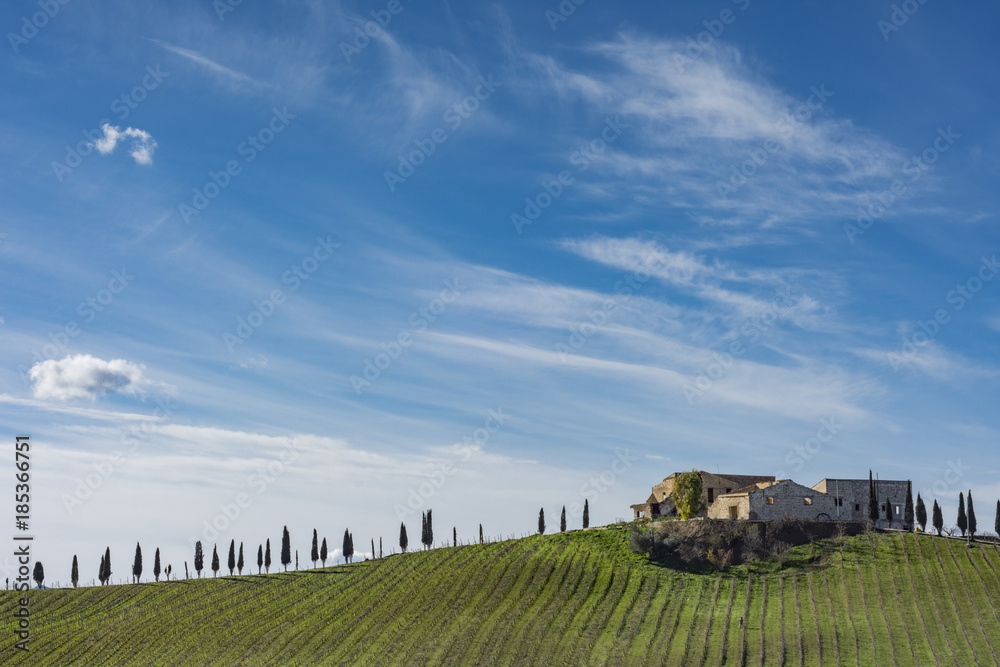 Azienda agricola con fila di cipressi nell'entroterra Siciliano, Italia Azienda agricola con fila di cipressi nell'entroterra Siciliano, Italia
