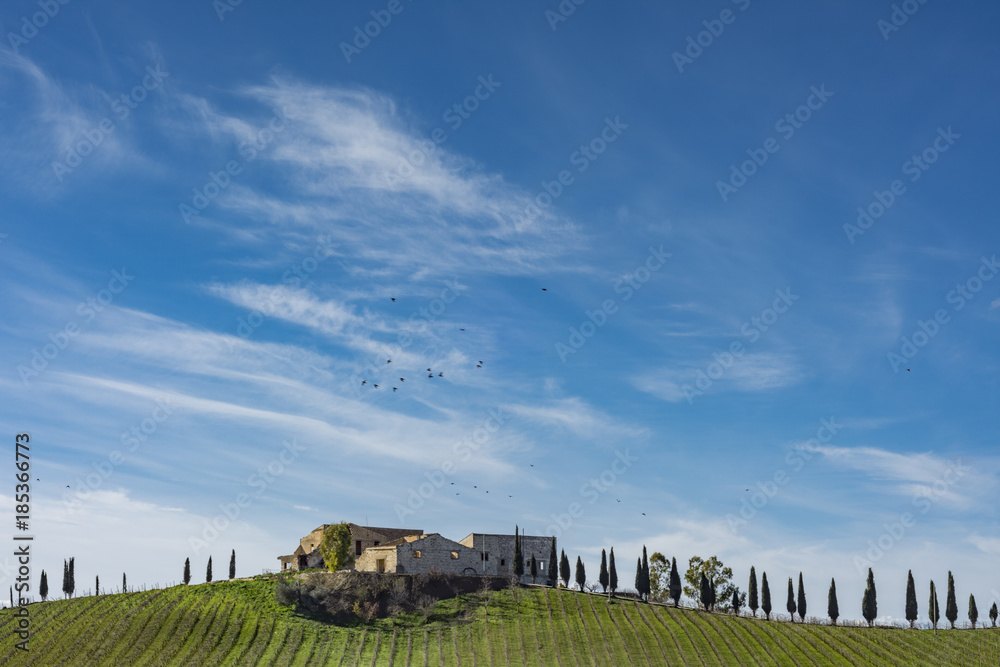 Azienda agricola con fila di cipressi nell'entroterra Siciliano, Italia Azienda agricola con fila di cipressi nell'entroterra Siciliano, Italia